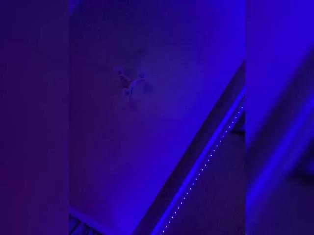 Nestyzz on BongaCams