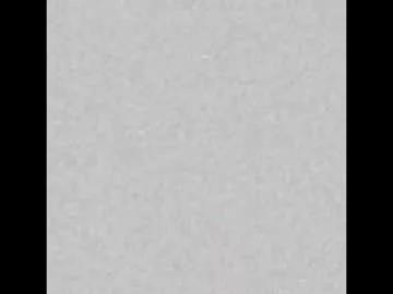 littlelaksmi on Chaturbate 