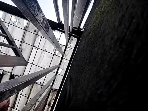 _Laary_Lily on StripChat