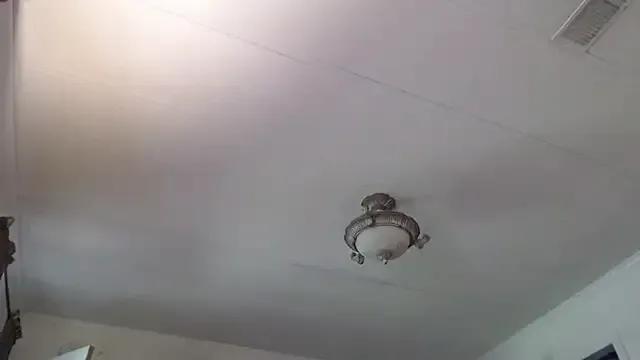 mossy_kiss on StripChat 